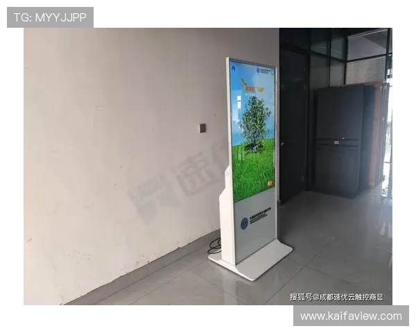 凯发备用官方网站多渠道登录方式，满足不同用户的访问需求与安全保障